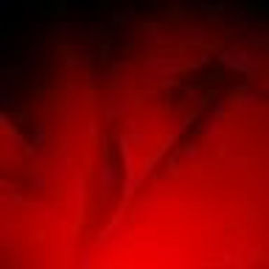 Meet your Posher, Jean